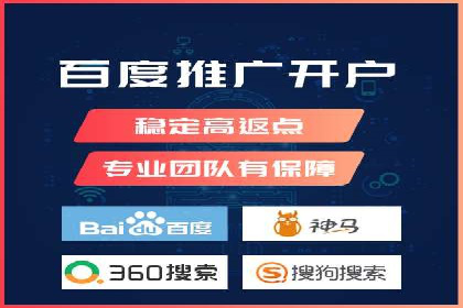 某公司通过百度竞价实现业务快速增长的案例