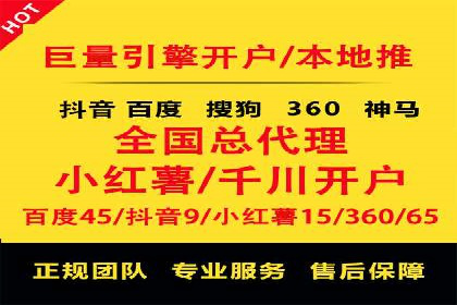 案例研究：SEM开户助力电商快速崛起